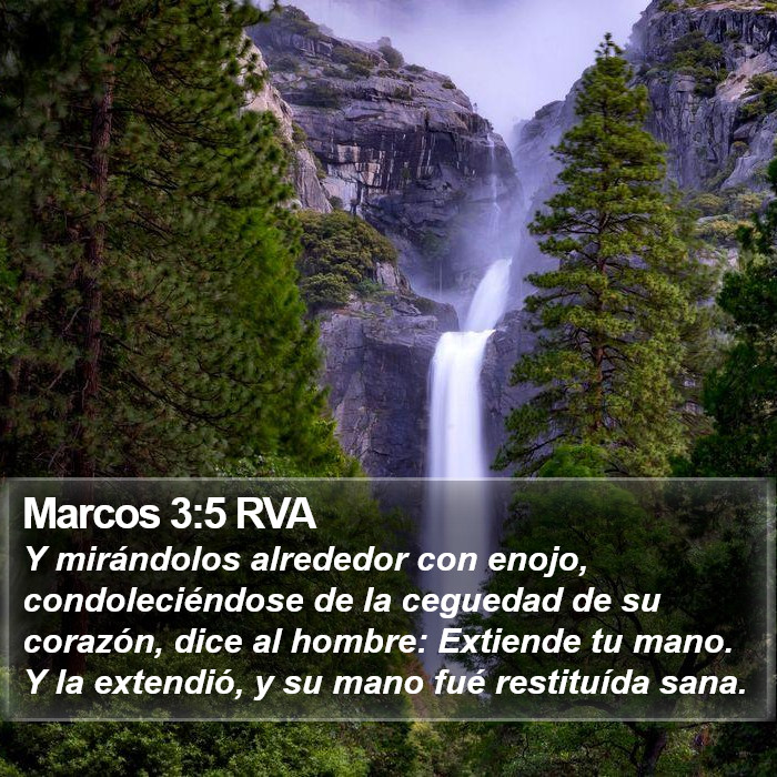 Marcos 3:5 RVA Bible Study