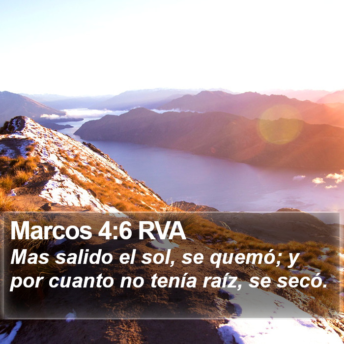 Marcos 4:6 RVA Bible Study