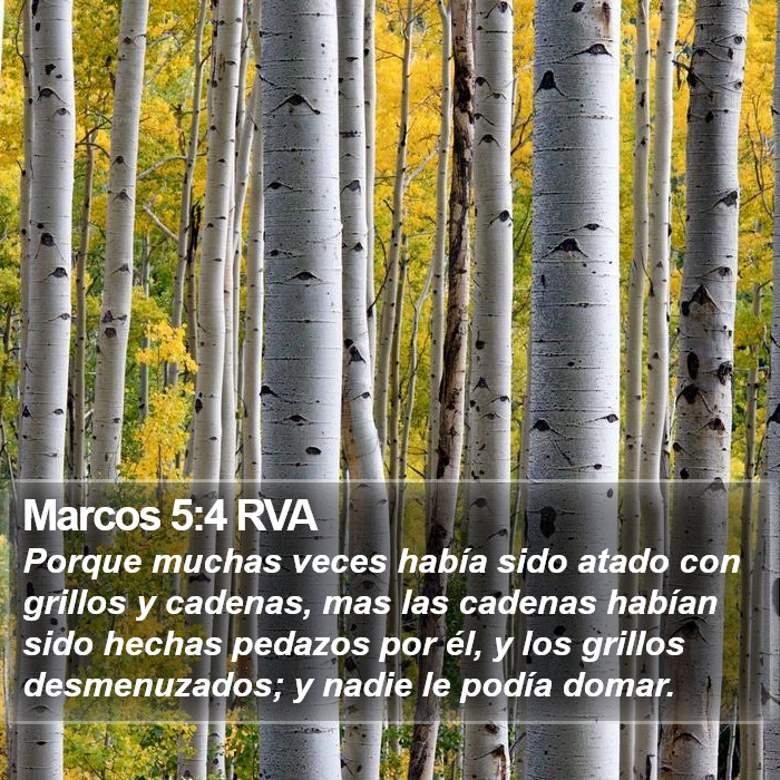 Marcos 5:4 RVA Bible Study