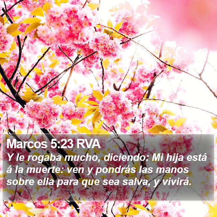 Marcos 5:23 RVA Bible Study