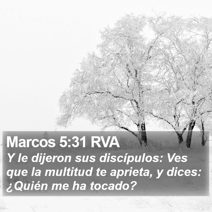 Marcos 5:31 RVA Bible Study