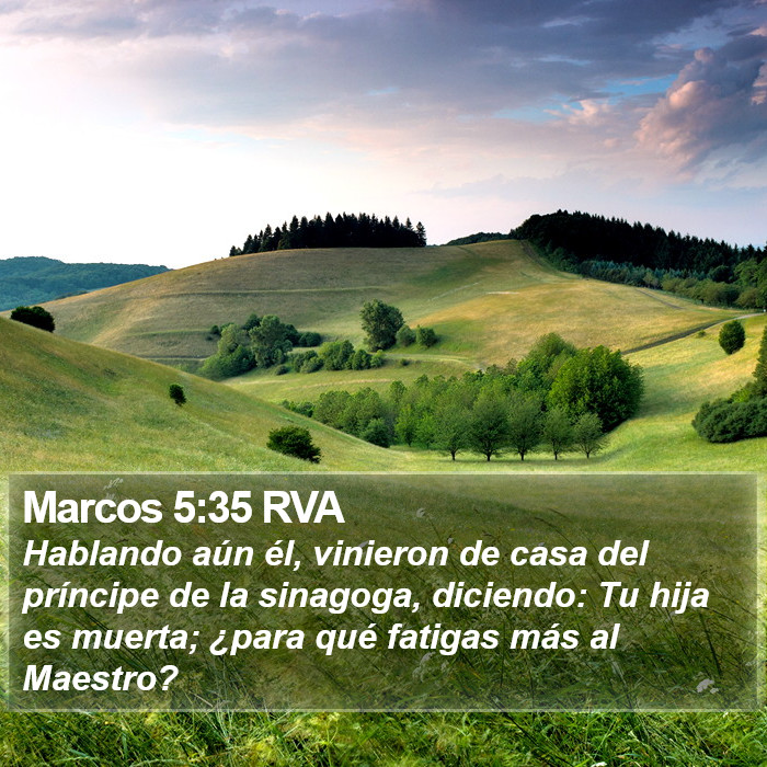 Marcos 5:35 RVA Bible Study