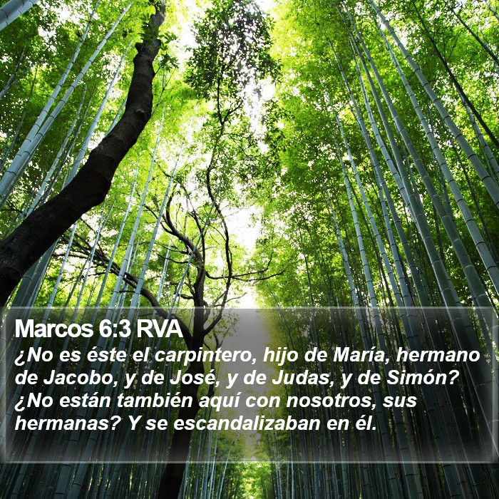 Marcos 6:3 RVA Bible Study