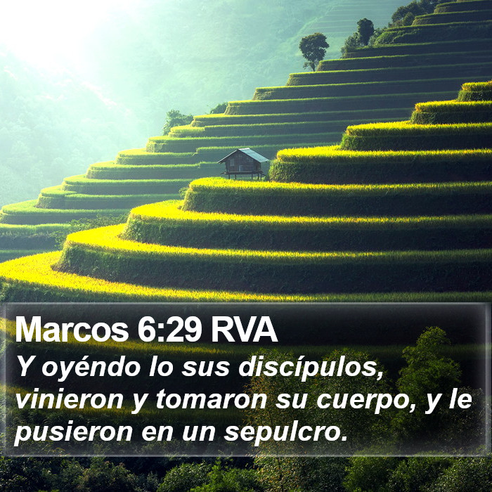 Marcos 6:29 RVA Bible Study