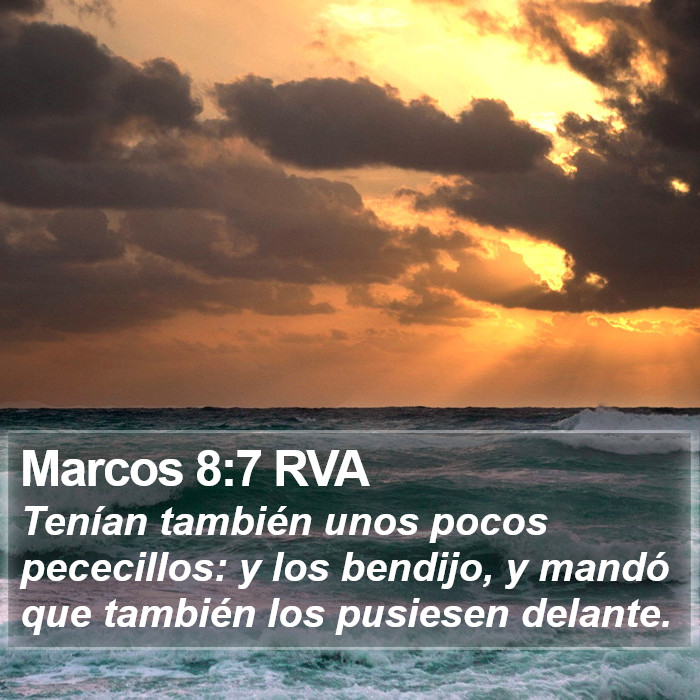 Marcos 8:7 RVA Bible Study