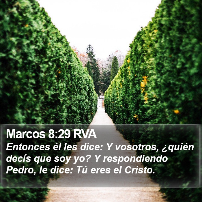 Marcos 8:29 RVA Bible Study