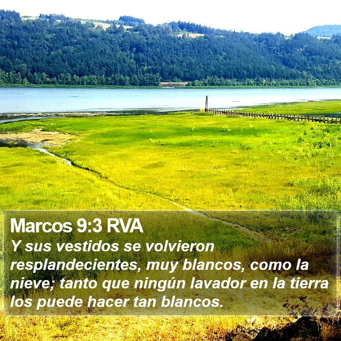 Marcos 9:3 RVA Bible Study