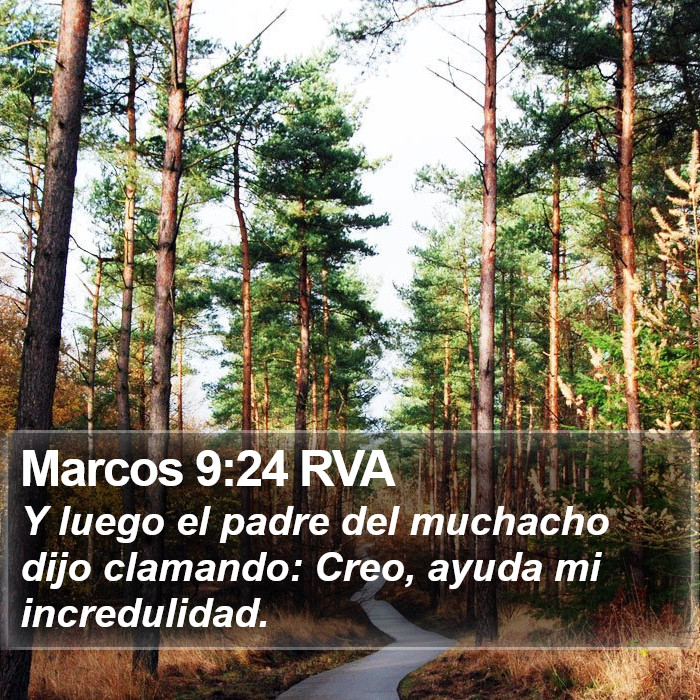 Marcos 9:24 RVA Bible Study