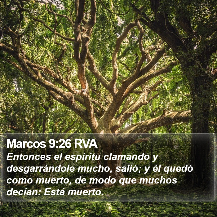 Marcos 9:26 RVA Bible Study