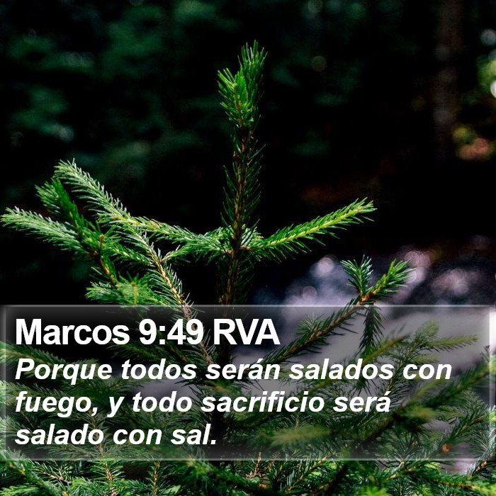 Marcos 9:49 RVA Bible Study