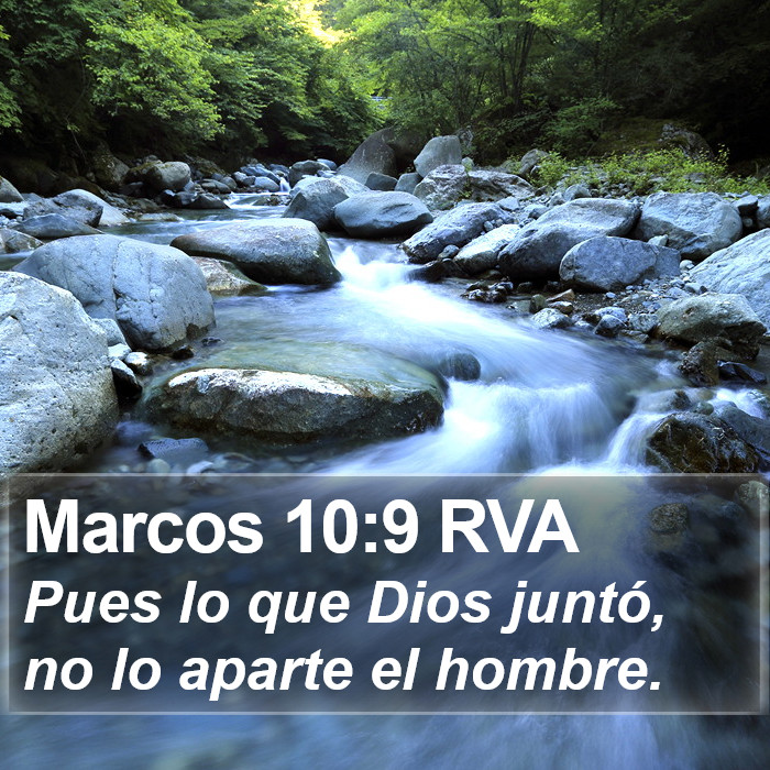 Marcos 10:9 RVA Bible Study