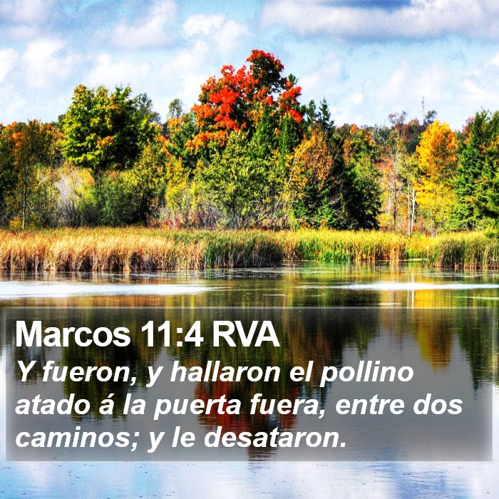 Marcos 11:4 RVA Bible Study