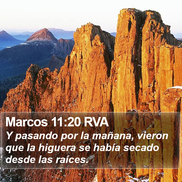 Marcos 11:20 RVA Bible Study