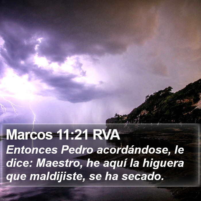 Marcos 11:21 RVA Bible Study