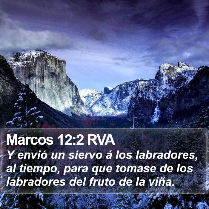 Marcos 12:2 RVA Bible Study