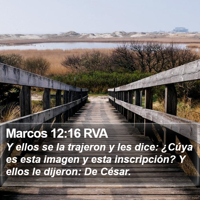 Marcos 12:16 RVA Bible Study