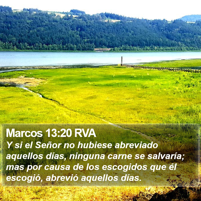 Marcos 13:20 RVA Bible Study