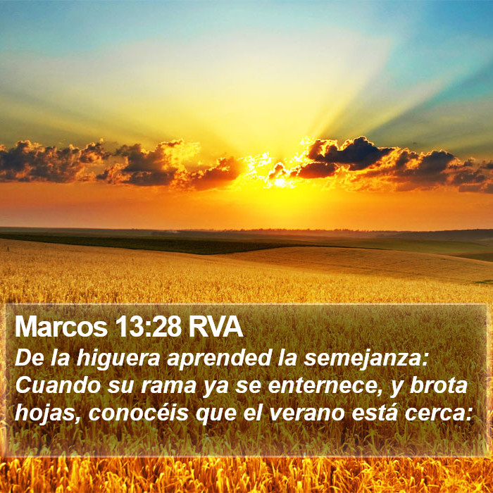 Marcos 13:28 RVA Bible Study