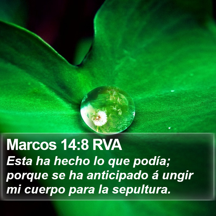 Marcos 14:8 RVA Bible Study