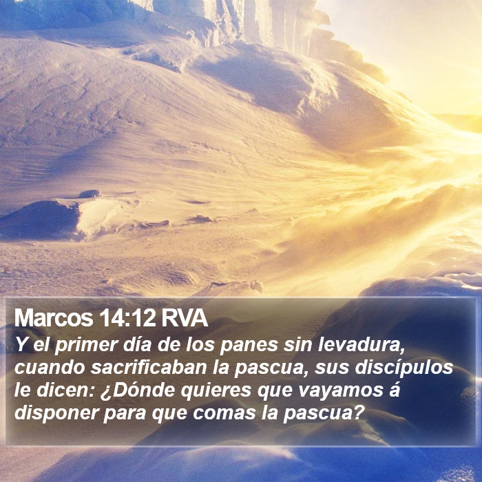 Marcos 14:12 RVA Bible Study