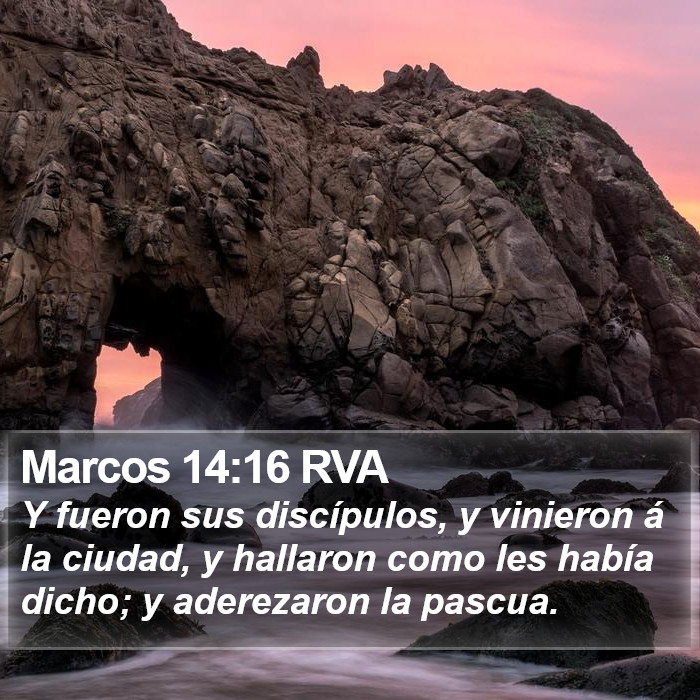 Marcos 14:16 RVA Bible Study