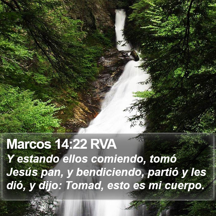 Marcos 14:22 RVA Bible Study