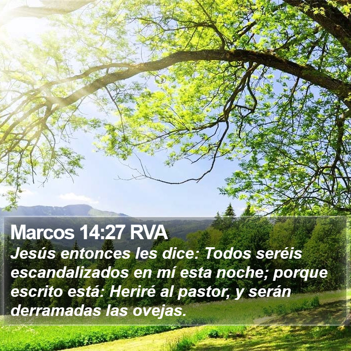 Marcos 14:27 RVA Bible Study