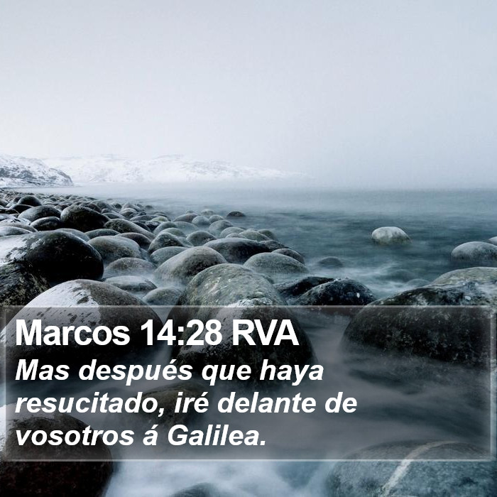 Marcos 14:28 RVA Bible Study