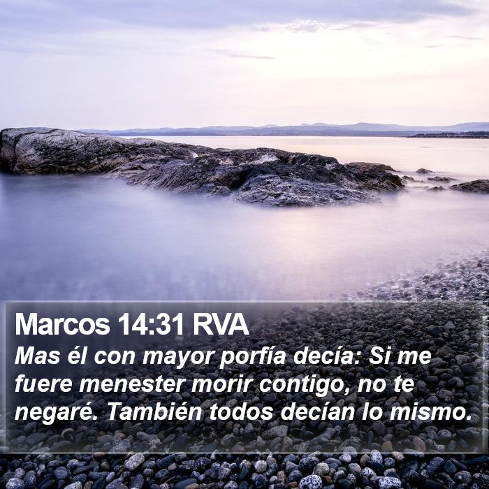 Marcos 14:31 RVA Bible Study