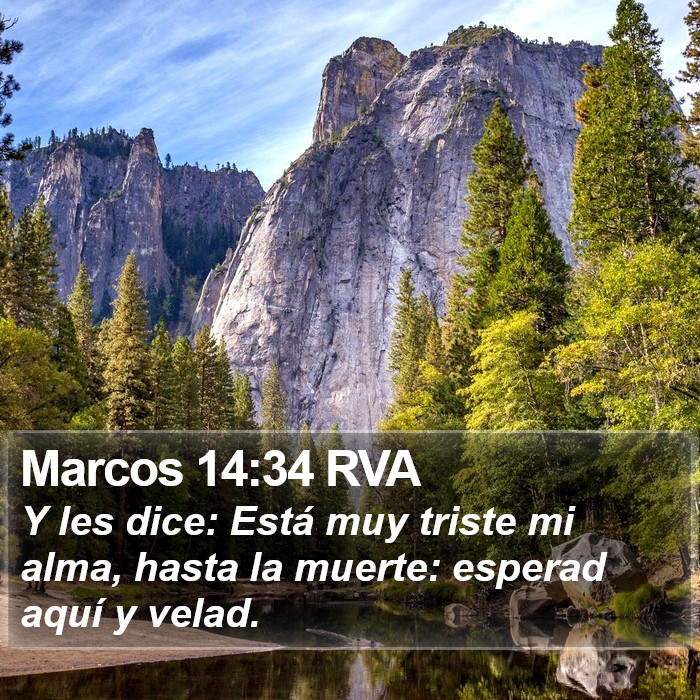 Marcos 14:34 RVA Bible Study