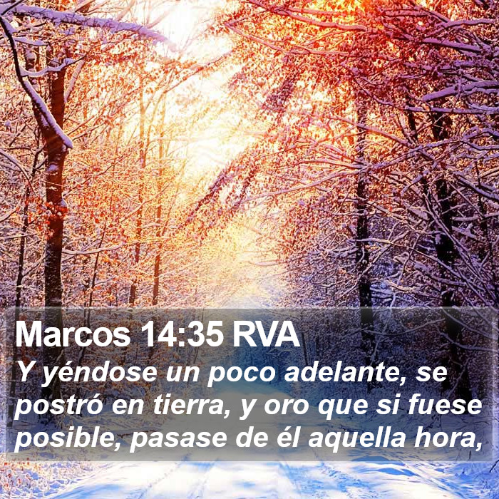 Marcos 14:35 RVA Bible Study