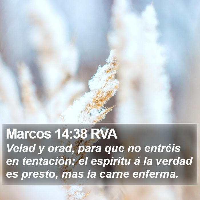 Marcos 14:38 RVA Bible Study