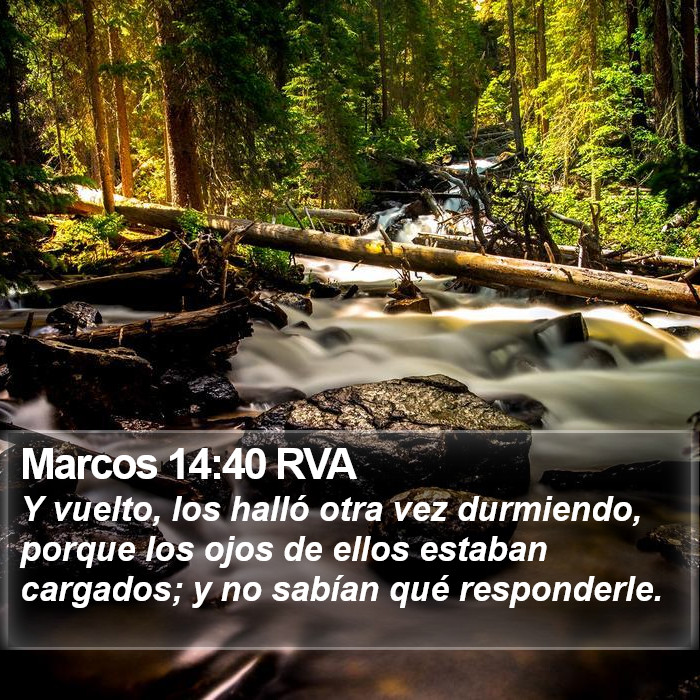 Marcos 14:40 RVA Bible Study