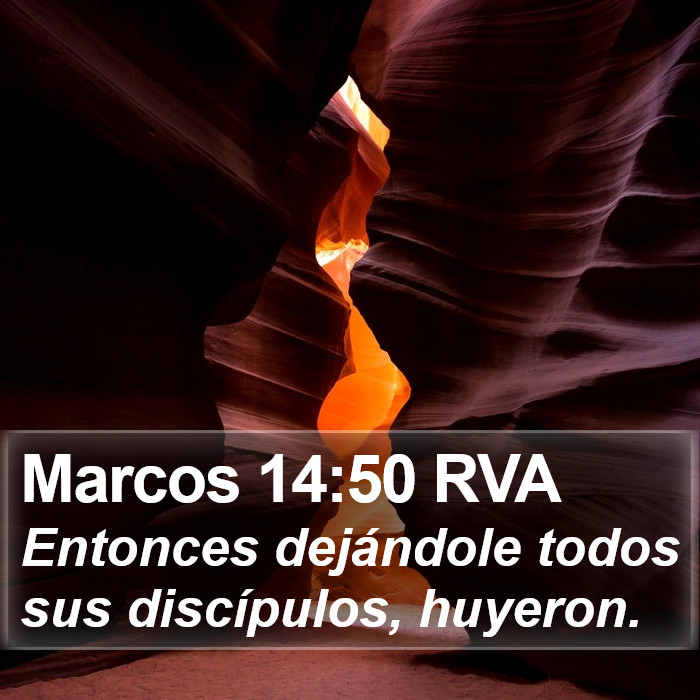 Marcos 14:50 RVA Bible Study