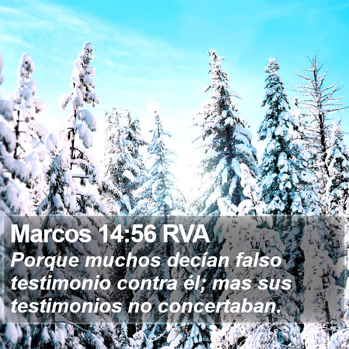 Marcos 14:56 RVA Bible Study