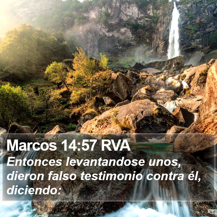 Marcos 14:57 RVA Bible Study