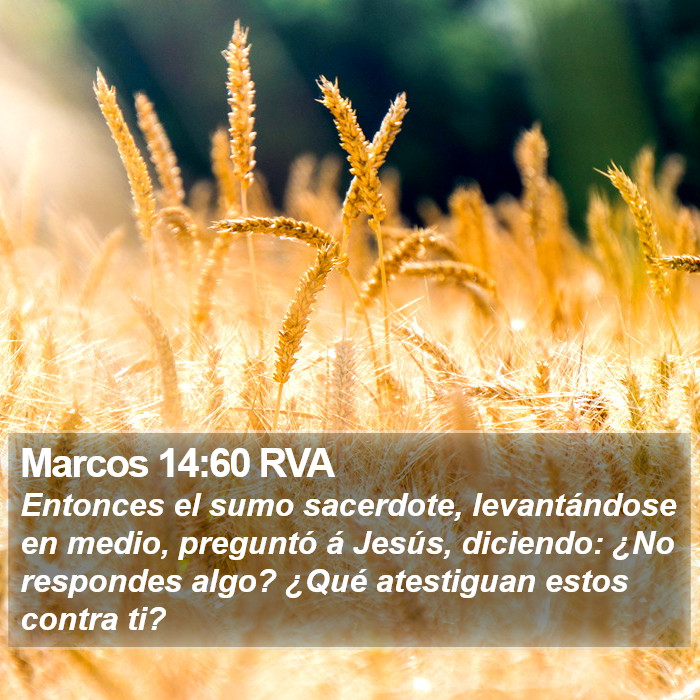 Marcos 14:60 RVA Bible Study