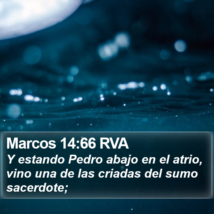 Marcos 14:66 RVA Bible Study