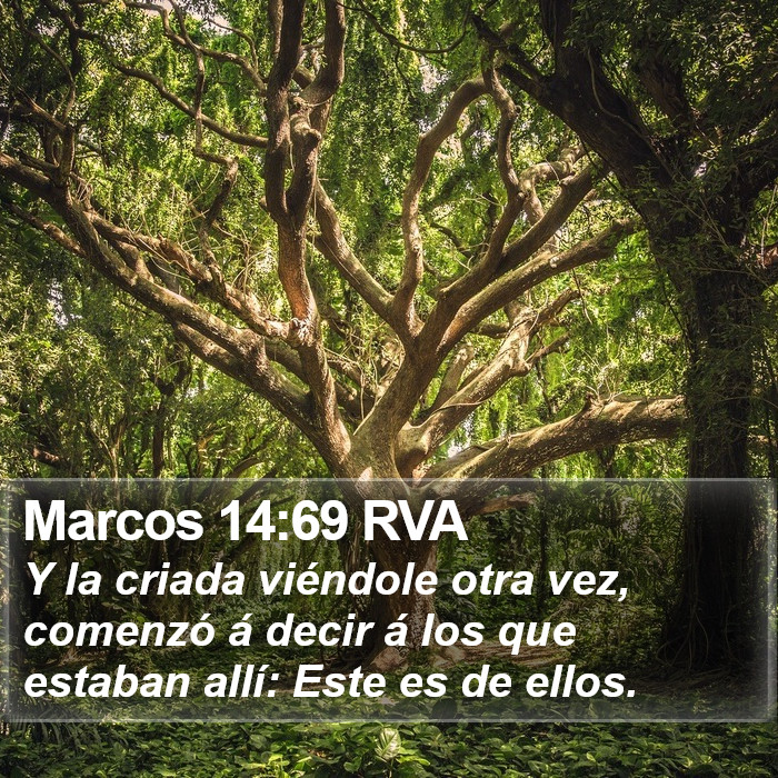 Marcos 14:69 RVA Bible Study