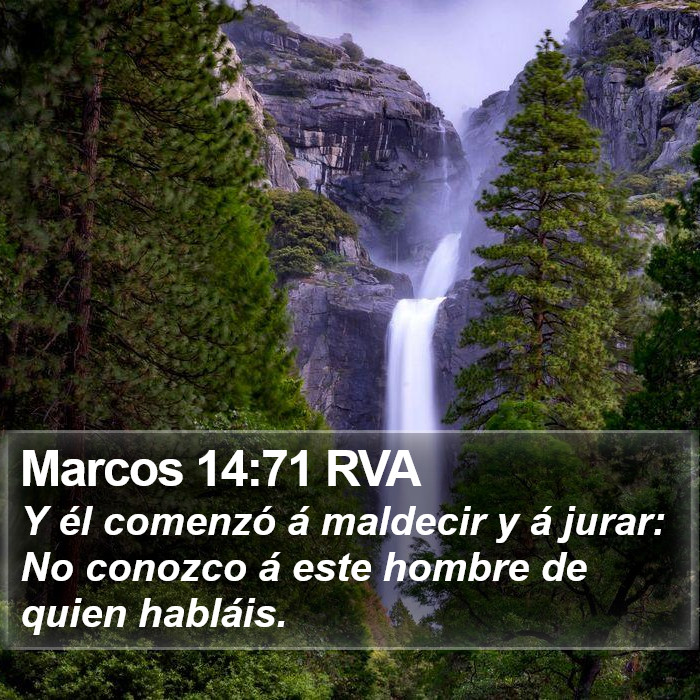 Marcos 14:71 RVA Bible Study