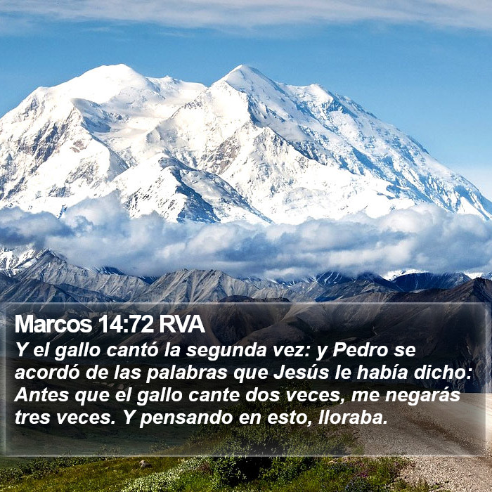 Marcos 14:72 RVA Bible Study