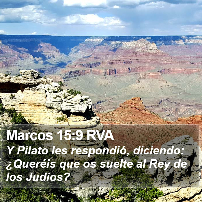 Marcos 15:9 RVA Bible Study