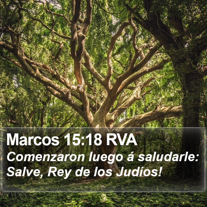 Marcos 15:18 RVA Bible Study