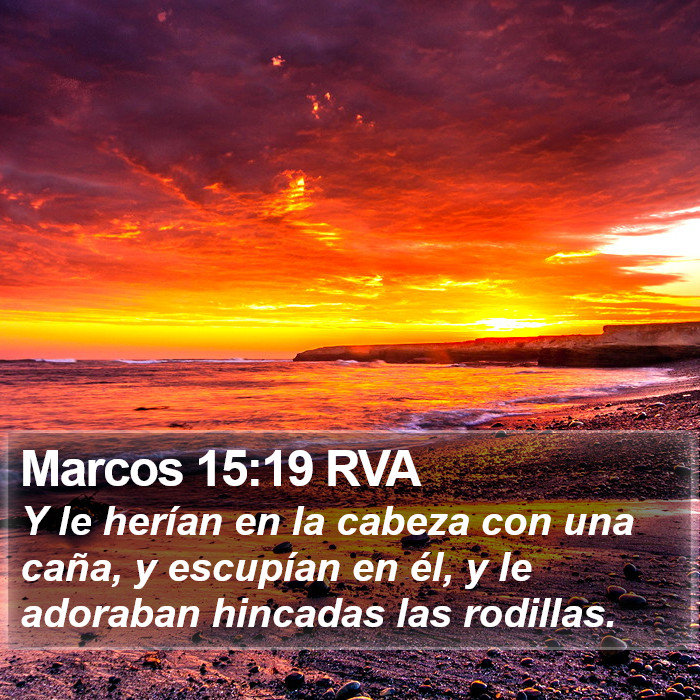 Marcos 15:19 RVA Bible Study