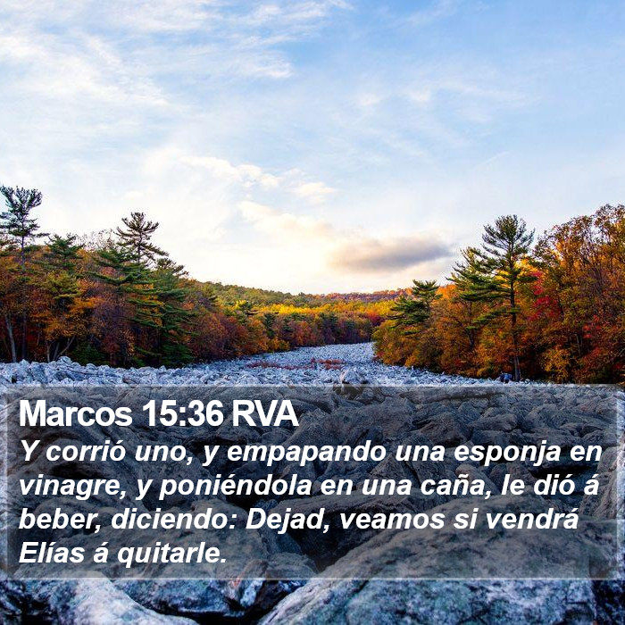 Marcos 15:36 RVA Bible Study