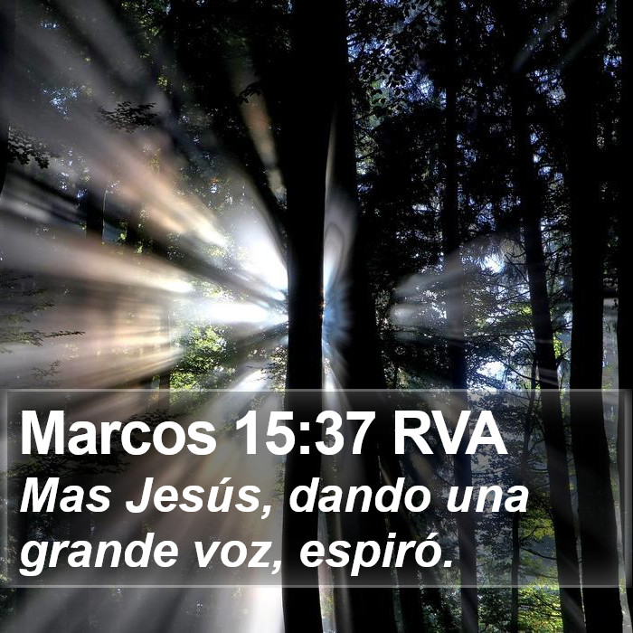 Marcos 15:37 RVA Bible Study