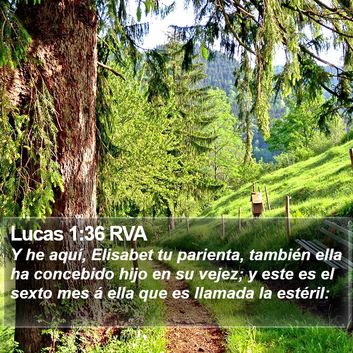 Lucas 1:36 RVA Bible Study