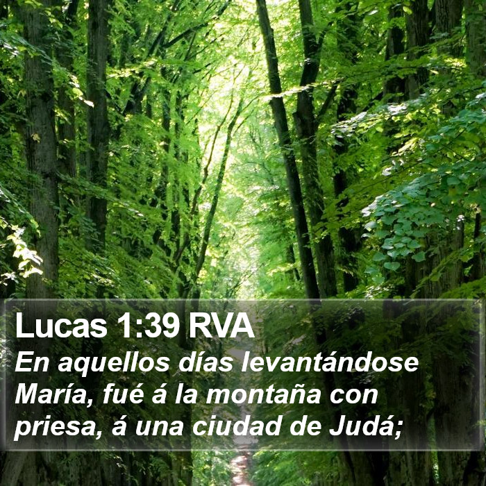 Lucas 1:39 RVA Bible Study