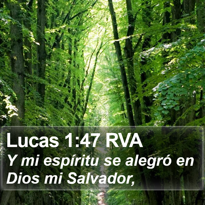 Lucas 1:47 RVA Bible Study