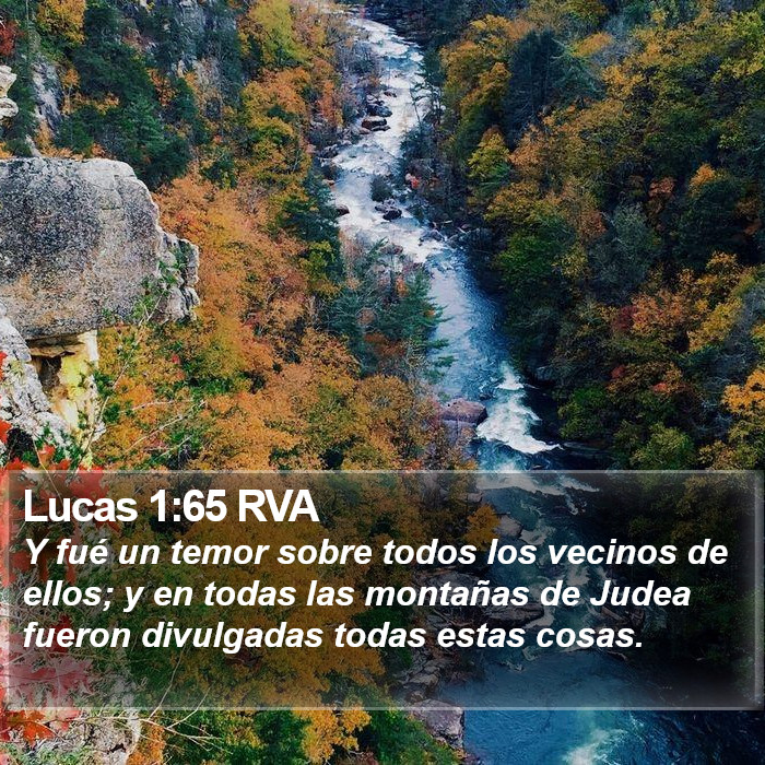 Lucas 1:65 RVA Bible Study